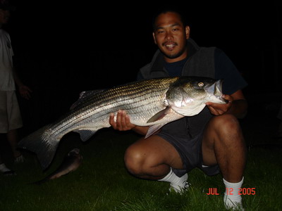 Nantucket MA 2005 --->Striped Bass