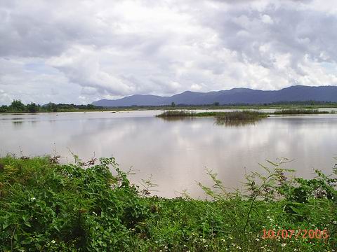 หนองหลวง  จ.เชียงราย