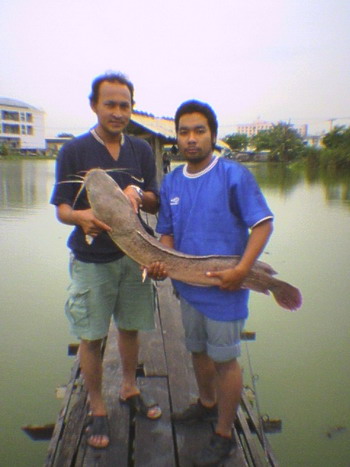 ดุกน้อย