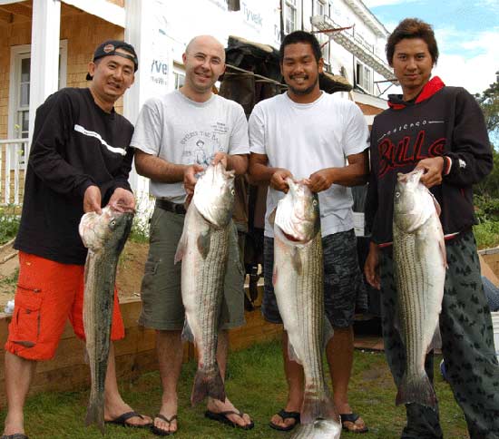 Boston-Nuntucket  กับ  Striped Bass