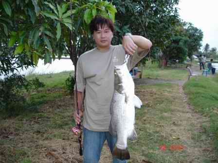 กระพง(ลุงดอน)