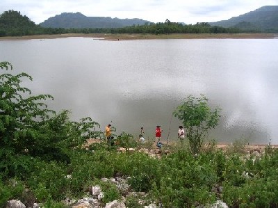 ปลาใหญ่ฝูงสุดท้ายที่ อ่างเก็บน้ำ ชะลาดระฆัง จ.ตาก