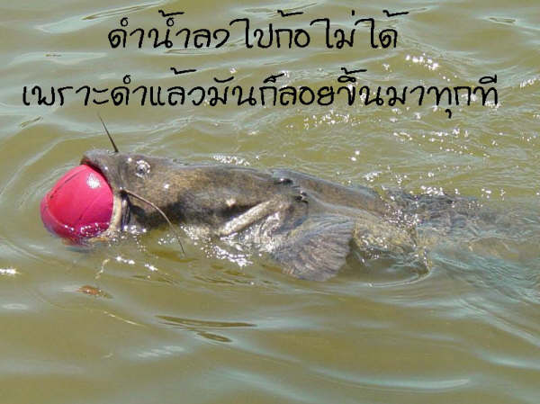 ....น่าสงสารจริง ๆ....