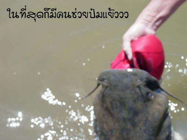....น่าสงสารจริง ๆ....