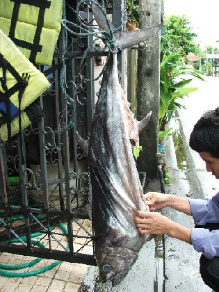 โทฟี่ ของ ใครว่า