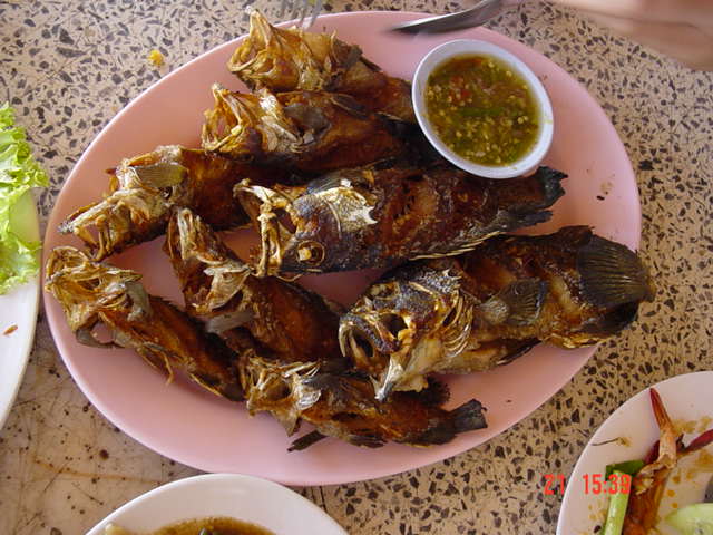 น่ากินไหมครับ ทายสิว่าปลาอะไร??