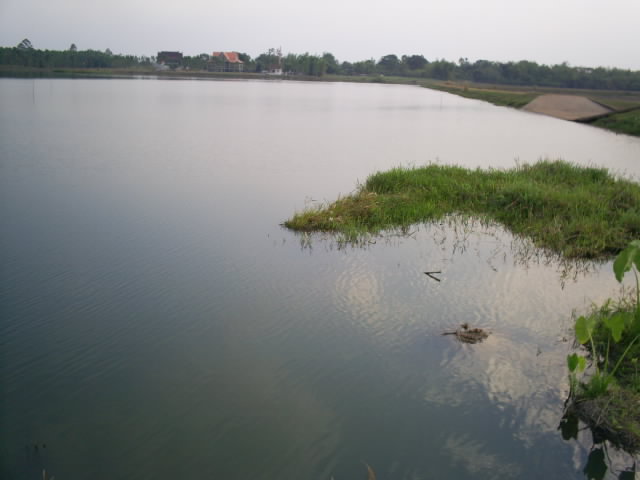บรรยากาศดีๆ ที่บึงโคกม่วง จ.ปราจีนบุรี