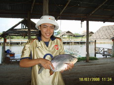 บางปะกงภาค 2