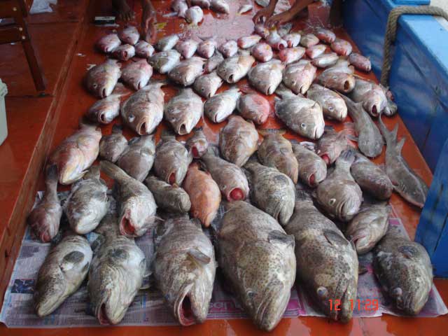 ทริปนี้มีแต่เก๋ากับเรือไต๋วุฒิ