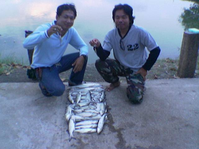 กุเลา ภาค 2 และ 3