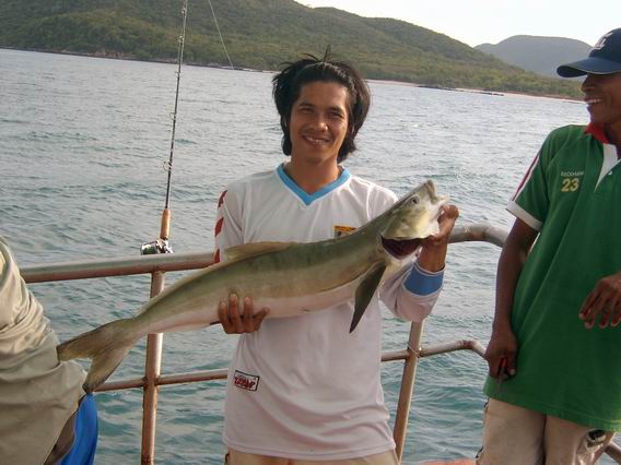 TRUE MOVE IN THE SEA