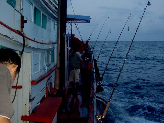 TRUE MOVE IN THE SEA