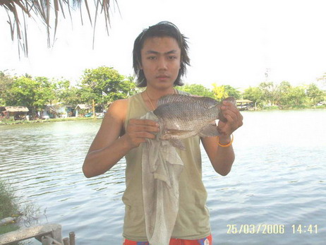 นิลวังแดงภาค 2 ครับ คราวนี้ใหญ่ก็เดิม