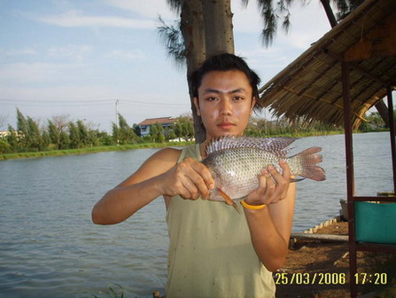 นิลวังแดงภาค 2 ครับ คราวนี้ใหญ่ก็เดิม
