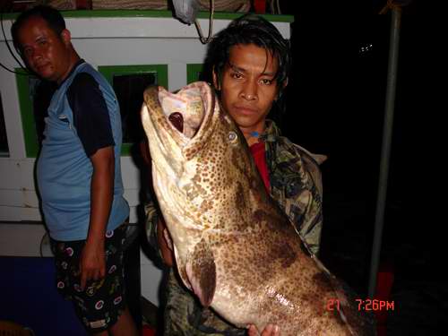 เก๋าจิงๆ