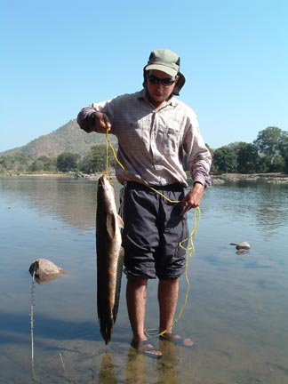 FISHING IN INDIA  (BIG FISH) NEXT TRIP ON JULY