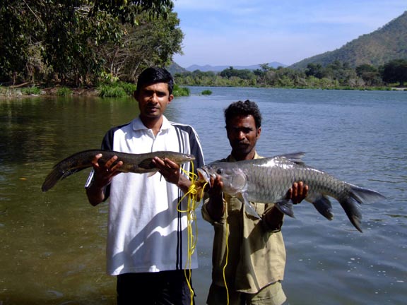 FISHING IN INDIA  (BIG FISH) NEXT TRIP ON JULY