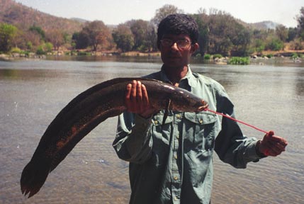 FISHING IN INDIA  (BIG FISH) NEXT TRIP ON JULY
