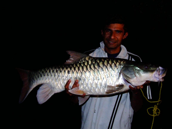 FISHING IN INDIA  (BIG FISH) NEXT TRIP ON JULY