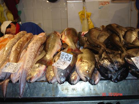 ตลาดปลา