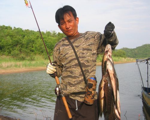 ปลาที่แก่งกระจาน