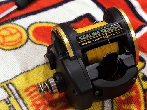 Daiwa sealine SL20SH