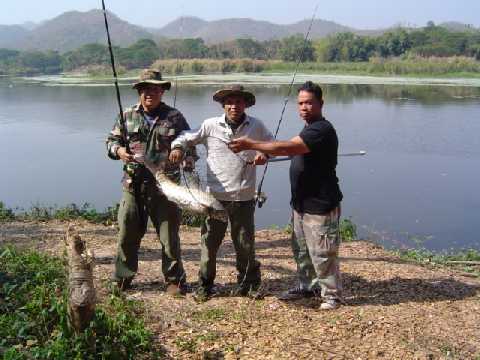 นวลจันทร์ที่ลำปาง