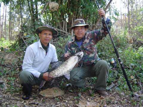นวลจันทร์ที่ลำปาง