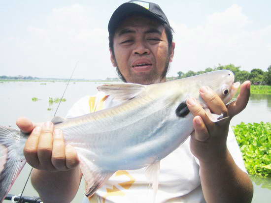 ทริปเบาๆที่แพ Fishing บางไทร