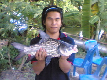 เกล็ดมังกร
