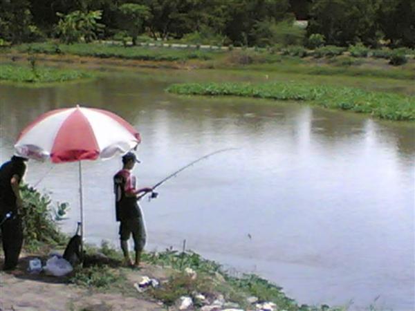 ประตูระบายน้ำคลองบางปลา