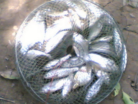 วันเบาๆๆ
