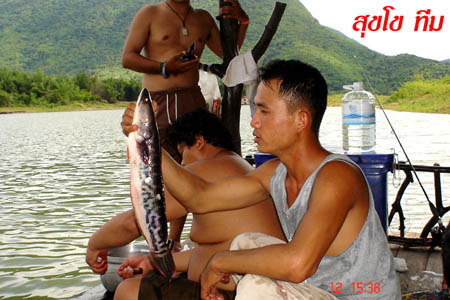 ชะโด + เด็ก  จริง ๆ ที่  "น้ำเอ่อ"