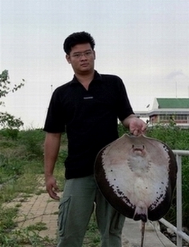 ปลากระเบนบางประกง