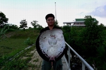 ปลากระเบนบางประกง