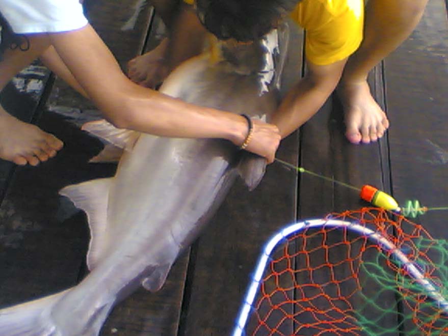 ทริพ ที่บึงสำราญ