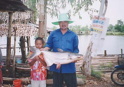 บ่อน้องพลอย บ่อเดียวในประเทศที่ให้ปลาบึกออก