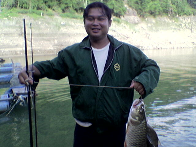 กระสูบที่เขื่อนแม่งัด เชียงใหม่