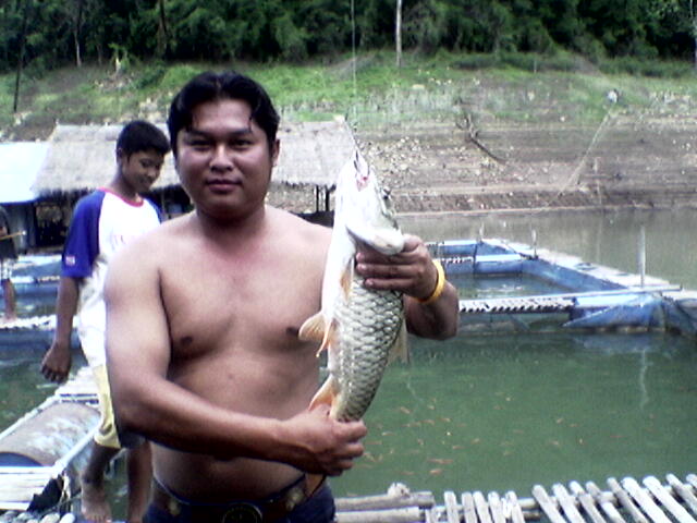 กระสูบเขื่อนแม่งัดภาค 2