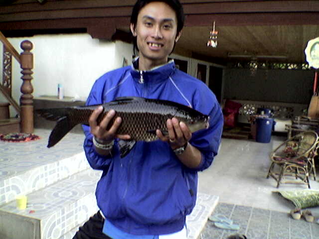 กระสูบเขื่อนแม่งัดภาค 2