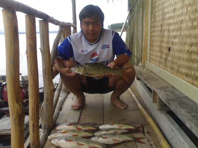 ทีเด็ด เขื่อนศรีฯ