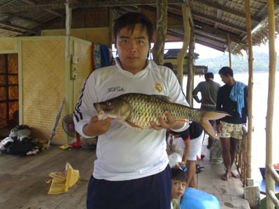 ทีเด็ด เขื่อนศรีฯ