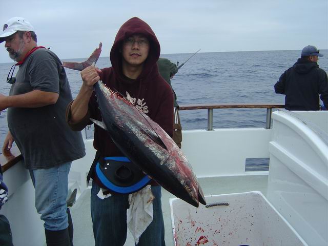 ทูน่าทริป ที่ san diego ca, usa.