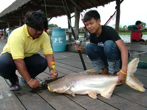 จัด     สุดๆๆๆๆๆๆๆๆๆๆๆๆๆๆ