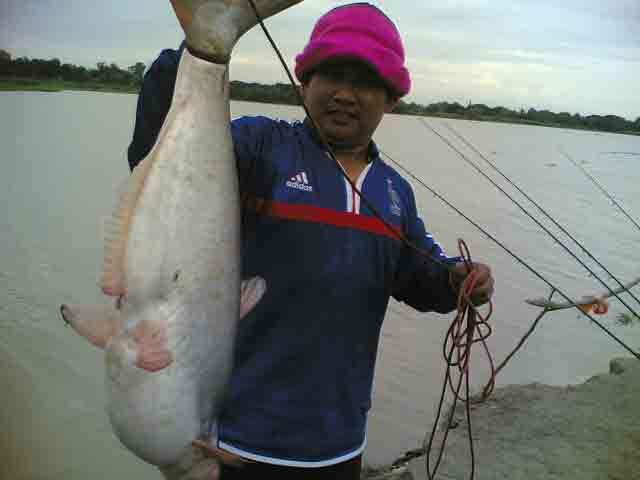 บางบาล Fishing