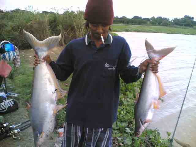 บางบาล Fishing