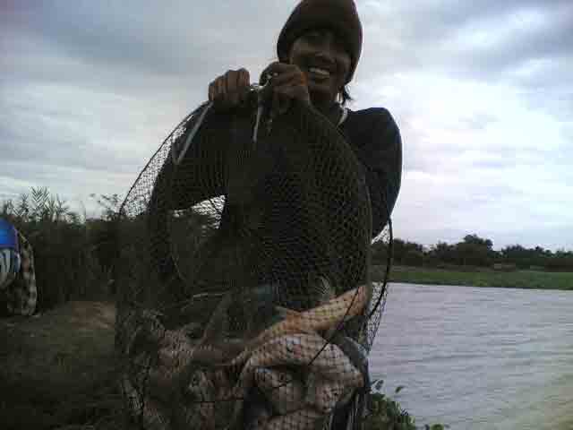 บางบาล Fishing