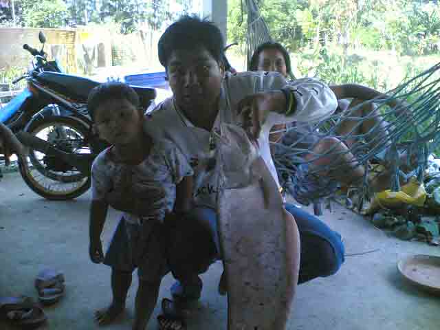 บางบาล Fishing