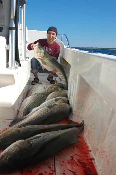 Boston 2006 Striped Bass