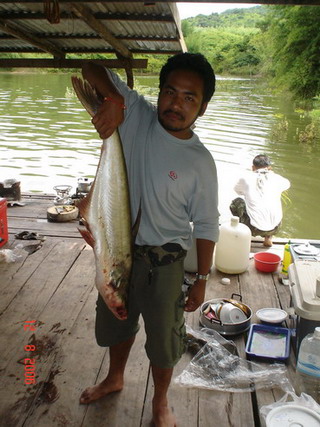 วันว่างที่ แพโชคนำเอ่อ